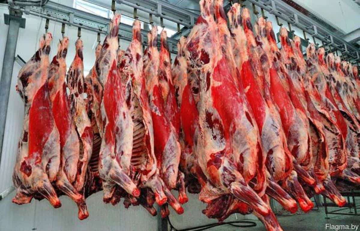 ЕС с сентября приостановит импорт мяса из Бразилии - agroexpert.md