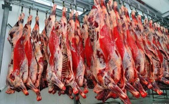 ЕС с сентября приостановит импорт мяса из Бразилии - agroexpert.md