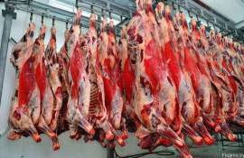 ЕС с сентября приостановит импорт мяса из Бразилии - agroexpert.md