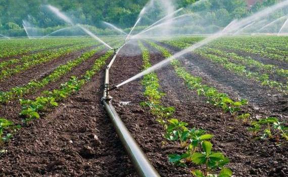 BERD finanțează irigațiile - agroexpert.md