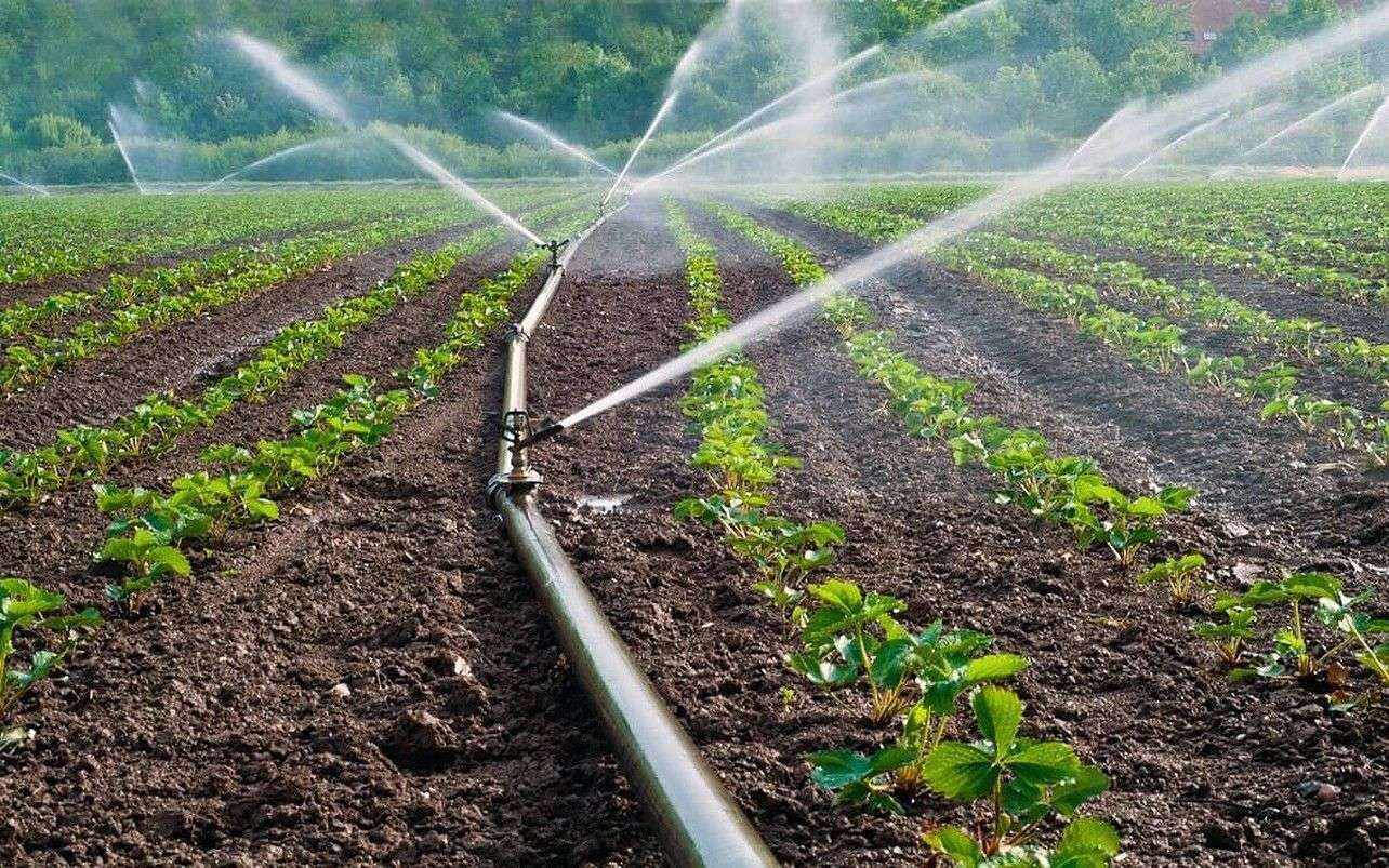 BERD finanțează irigațiile - agroexpert.md