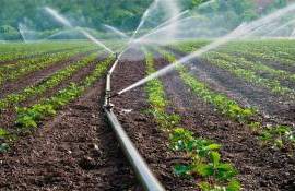 BERD finanțează irigațiile - agroexpert.md