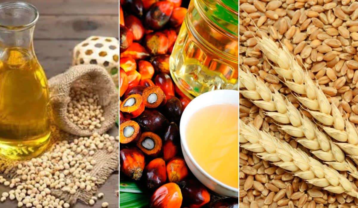 Цены на масло и зерновые растут на фоне войны на Ближнем Востоке - agroexpert.md