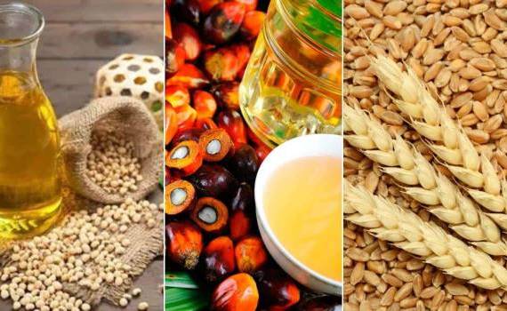 Цены на масло и зерновые растут на фоне войны на Ближнем Востоке - agroexpert.md