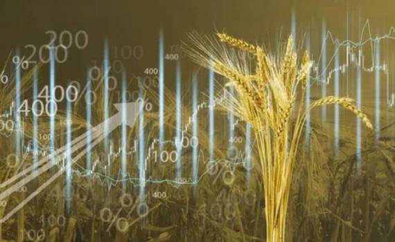 В понедельник на бирже MATIF цены на пшеницу и кукурузу снижались - agroexpert.md