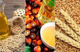 Цены на масло и зерновые растут на фоне войны на Ближнем Востоке - agroexpert.md