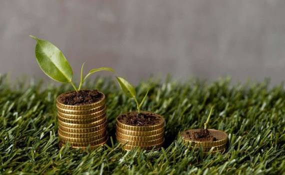 subvenții acordate în 2025 - agroexpert.md