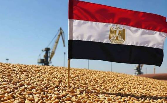 Египет намерен стать глобальным центром хранения и торговли зерном - agroexpert.md