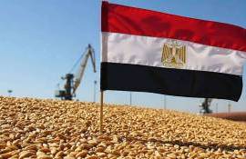 Египет намерен стать глобальным центром хранения и торговли зерном - agroexpert.md