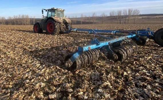 sfecla distrusa în câmp - AGROEXPERT.MD