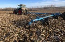 sfecla distrusa în câmp - AGROEXPERT.MD