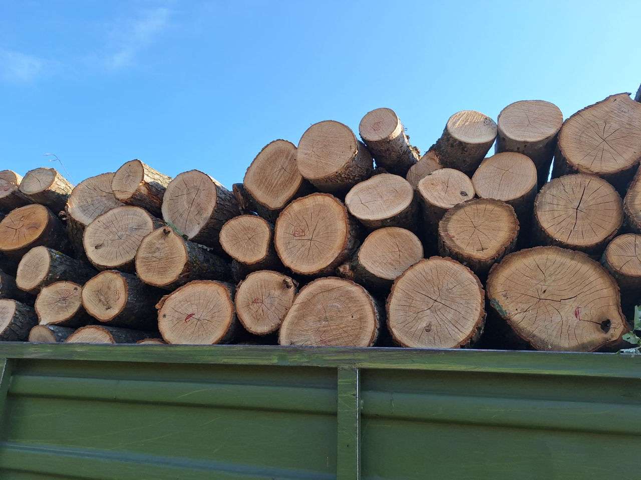 transport ilegal lemne - agroexpert.md