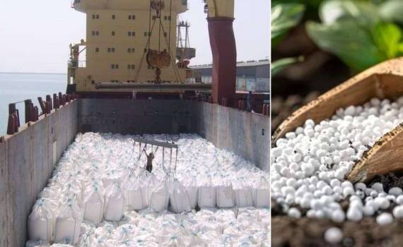 RaboBank: конфликт в Иране — долгосрочная угроза для рынков удобрений - agroexpert.md