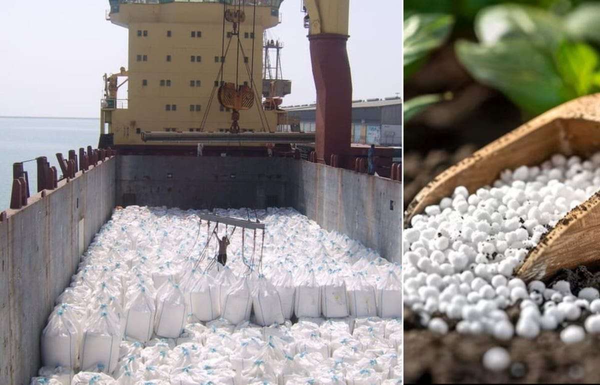 RaboBank: конфликт в Иране — долгосрочная угроза для рынков удобрений - agroexpert.md