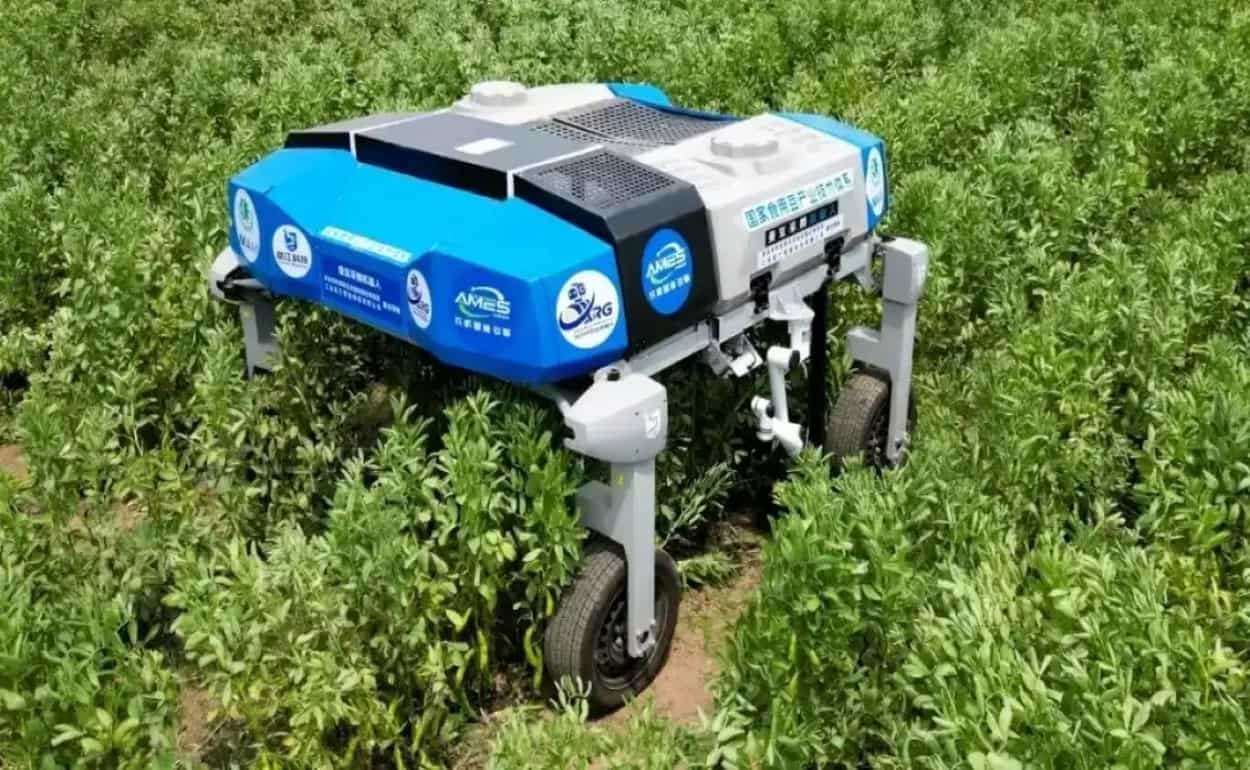 В Китае создали первого умного робота для уборки свежих бобов - agroexpert.md