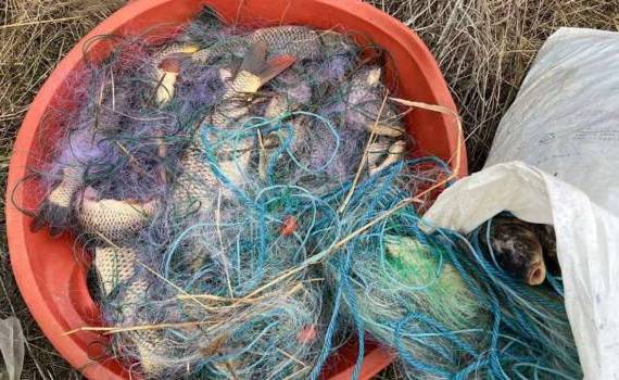 braconaj piscicol sancționat - agroexpert.md