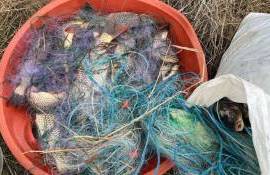 braconaj piscicol sancționat - agroexpert.md