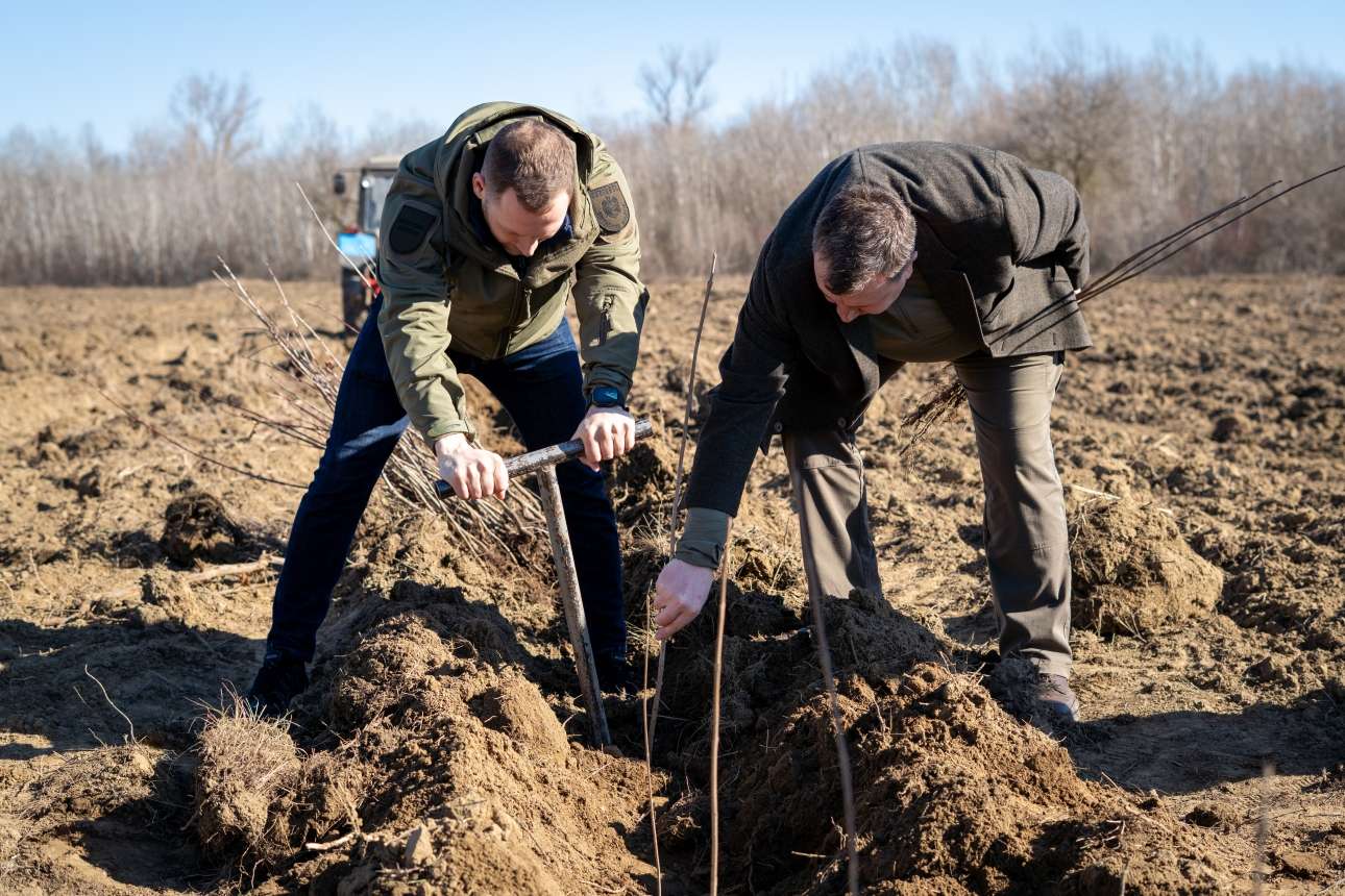 Campania Națională de Împădurire - agroexpert.md