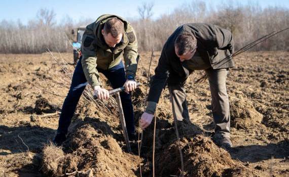 Campania Națională de Împădurire - agroexpert.md