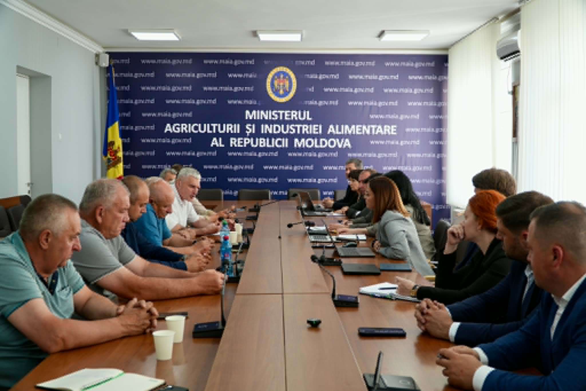 Solicitările Forței Fermierilor, discutate cu MAIA și Ministerul Finanțelor - agroexpert.md