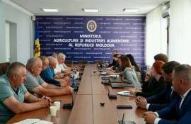 Solicitările Forței Fermierilor, discutate cu MAIA și Ministerul Finanțelor - agroexpert.md