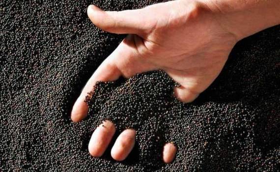 Фьючерсы на рапс на MATIF показали значительный недельный рост - agroexpert.md