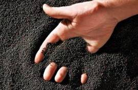 Фьючерсы на рапс на MATIF показали значительный недельный рост - agroexpert.md