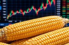 Мировой рынок в четверг: на биржах подорожали пшеница, кукуруза и соя - agroexpert.md