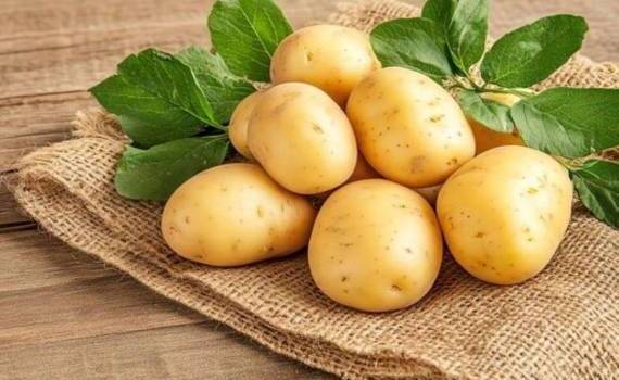 Международный день картофеля: история, польза, интересные факты - agroexpert.md