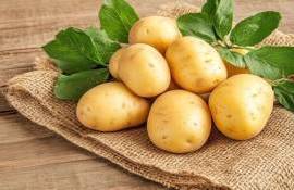 Международный день картофеля: история, польза, интересные факты - agroexpert.md