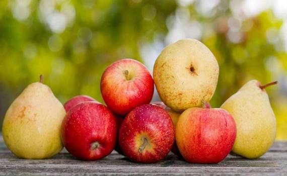 Когда запасы не радуют: в Европе сохраняется избыток яблок и груш - agroexpert.md