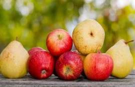 Когда запасы не радуют: в Европе сохраняется избыток яблок и груш - agroexpert.md
