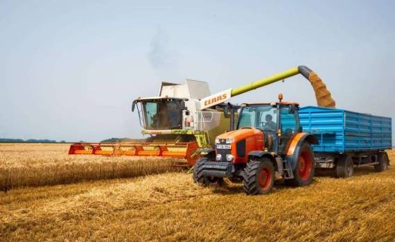 Субсидии для румынских фермеров: рост выплат и перспективы после 2027 года - agroexpert.md