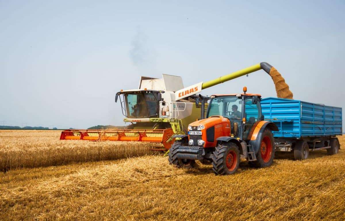 Субсидии для румынских фермеров: рост выплат и перспективы после 2027 года - agroexpert.md
