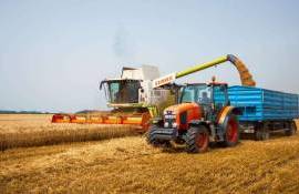 Субсидии для румынских фермеров: рост выплат и перспективы после 2027 года - agroexpert.md