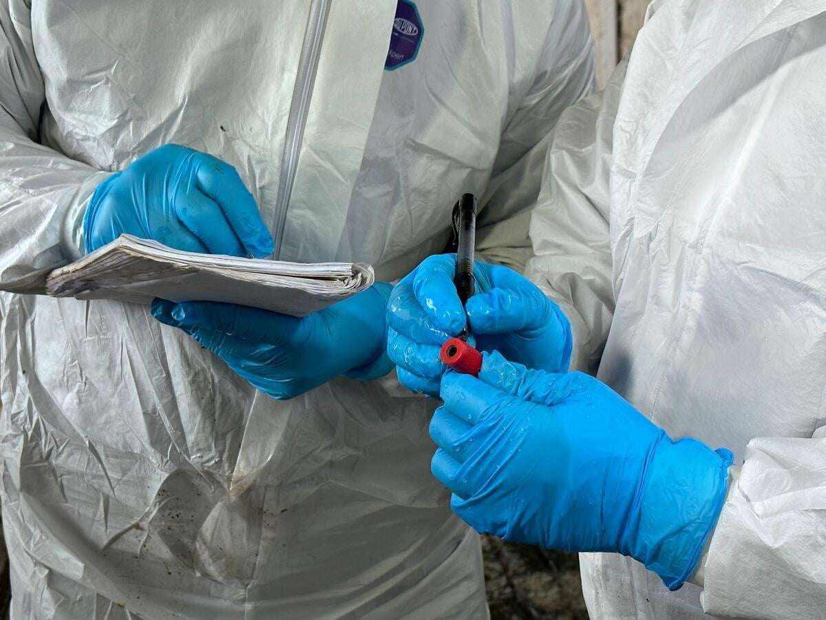 programul de studii veterinare  fao - agroexpert.md