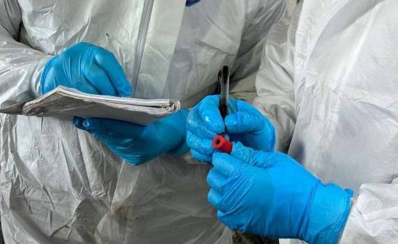 programul de studii veterinare  fao - agroexpert.md