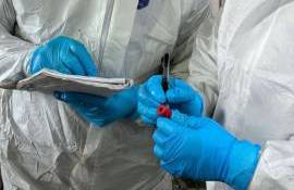 programul de studii veterinare  fao - agroexpert.md