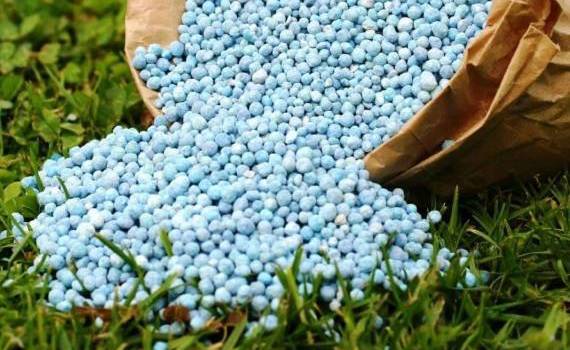 Молдова вводит более строгие правила допуска удобрений на свой рынок - agroexpert.md