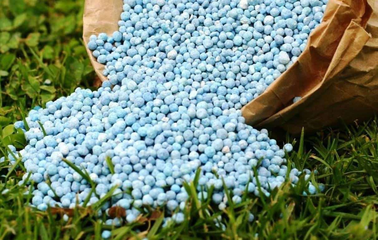 Молдова вводит более строгие правила допуска удобрений на свой рынок - agroexpert.md