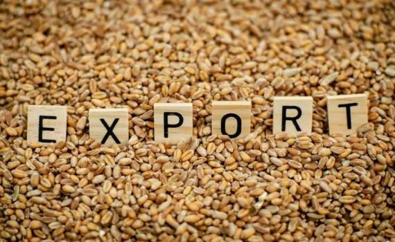 ЕС наращивает экспорт пшеницы: Румыния лидирует - agroexpert.md