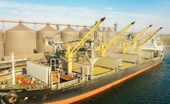 Пшеничные котировки в Одесском порту растут — итоги на 11 марта - agroexpert.md