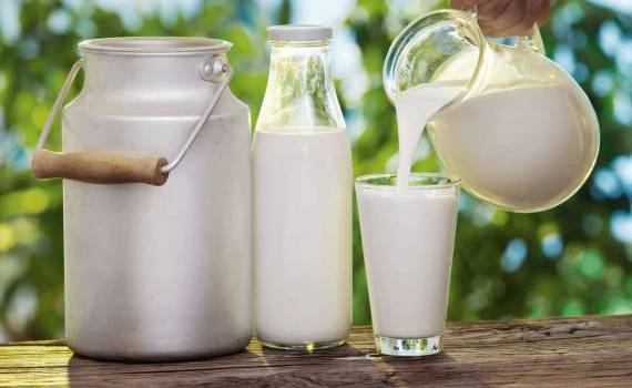 Producția locală de lapte este în creștere în fermele autorizate - agroexpert.md