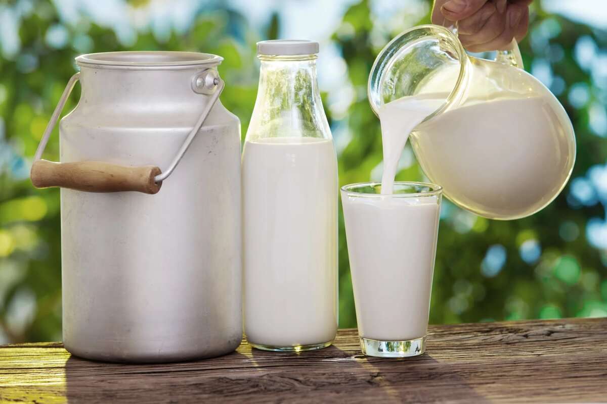 Producția locală de lapte este în creștere în fermele autorizate - agroexpert.md