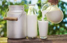 Producția locală de lapte este în creștere în fermele autorizate - agroexpert.md