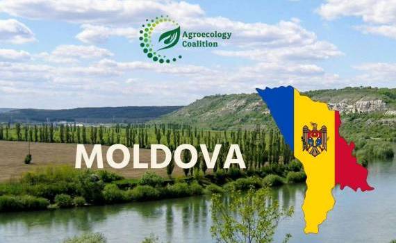 Agroecology Coalition - agroexpert.md