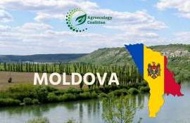 Agroecology Coalition - agroexpert.md
