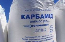 Украинский карбамид: экспорт в Италию и ценовые тенденции - agroexpert.md