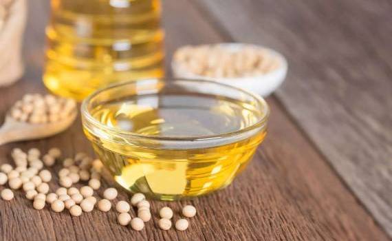 În 2025, importurile de ulei de soia au crescut de 10 ori - agroexpert.md