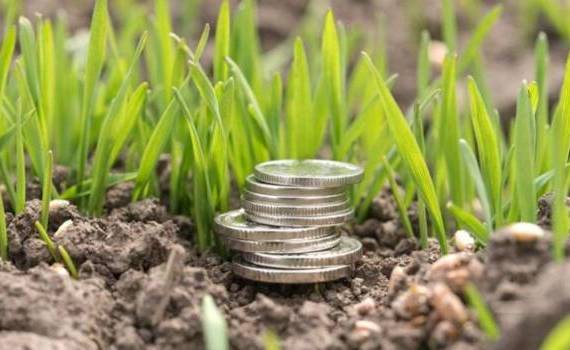Fermierii primesc subvenții de 178,49 milioane lei în mai 2026 - agroexpert.md
